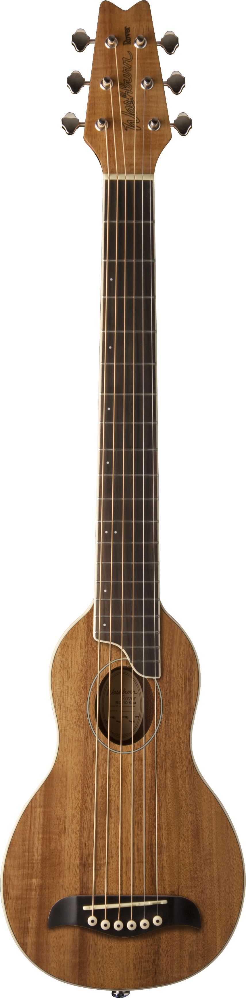 Washburn Exotic Rover travel guitars now available From UK